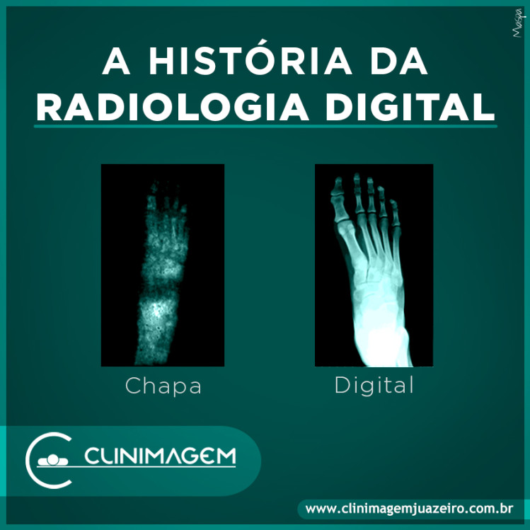 artigo site